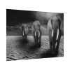 92408-259.jpg Elephants in Africa, Safari Poster