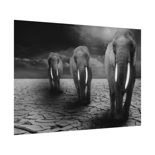 92408-259.jpg Elephants in Africa, Safari Poster