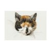 92408-267.jpg Head of a Calico Cat with Closed Eyes by Jean Bernard Poster
