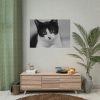 Bicolor Cat Poster