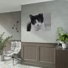Bicolor Cat Poster