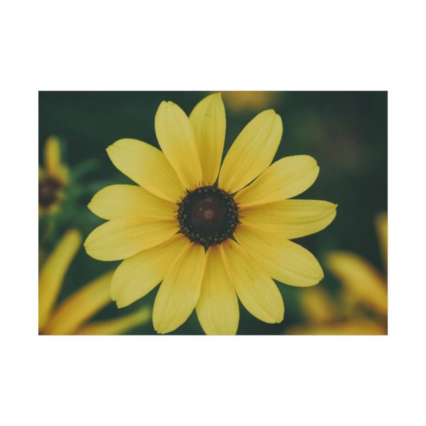 92408-282.jpg Blooming Yellow Petaled Flowers Poster