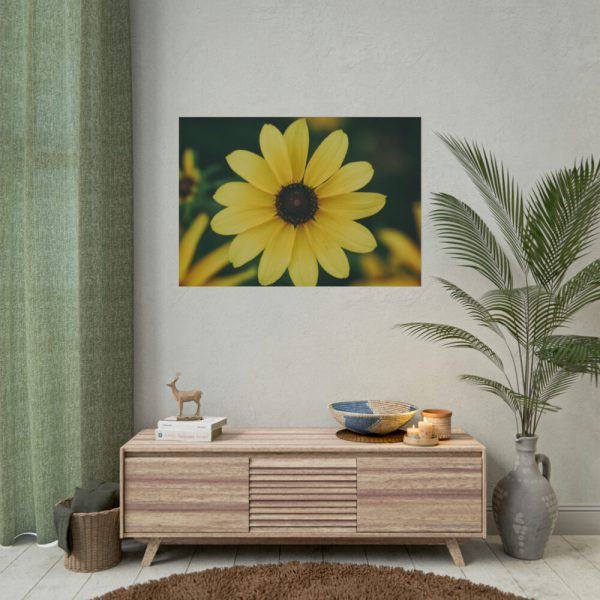 92408-285.jpg Blooming Yellow Petaled Flowers Poster