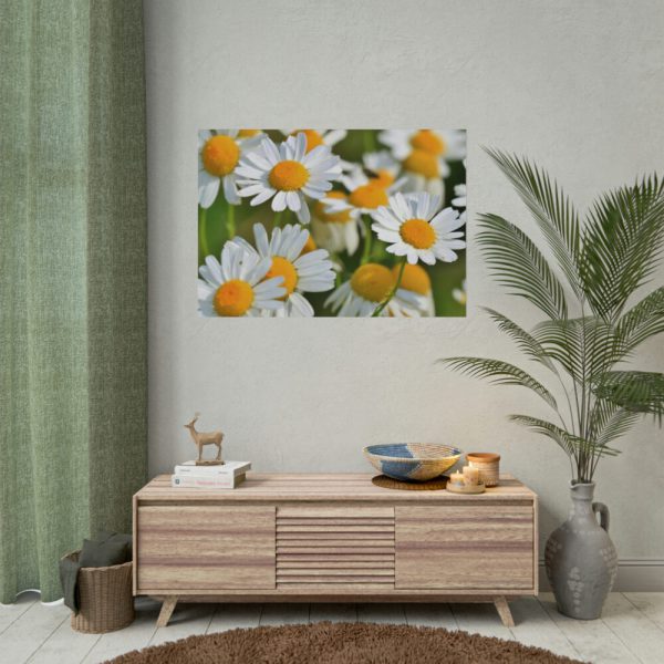 White Flowers Poster
