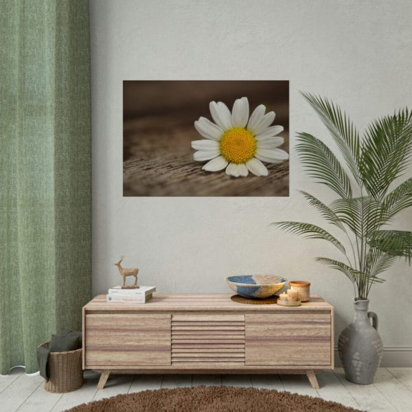92408-295.jpg Daisy Family Poster