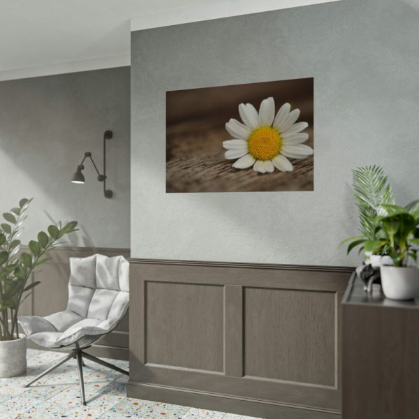 92408-296.jpg Daisy Family Poster