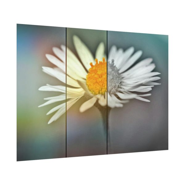 92408-299.jpg Flowering Plant Poster