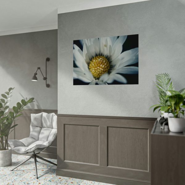 92408-306.jpg Daisy Pollen Poster