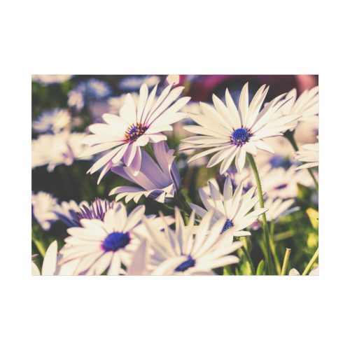 Flower Garden Poster