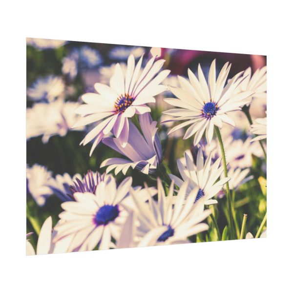 92408-309.jpg Flower Garden Poster