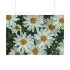 92408-313.jpg Blossom Daisy Poster