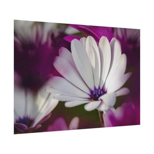 92408-319.jpg Flowering Plant Poster