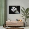 92408-325.jpg Bicolor Cat with Piercing Blue Eyes Poster