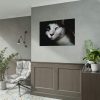 92408-326.jpg Bicolor Cat with Piercing Blue Eyes Poster