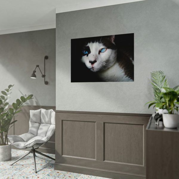 92408-326.jpg Bicolor Cat with Piercing Blue Eyes Poster
