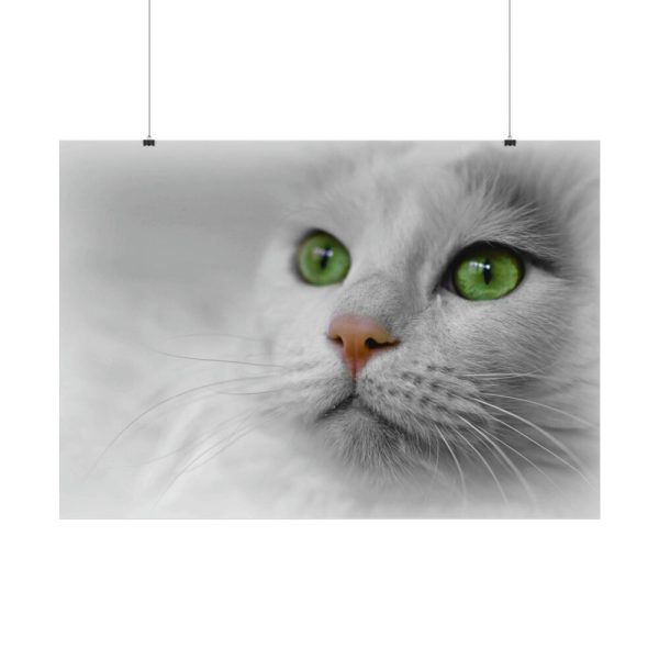 Beautiful Cat with Green Eyes Poster