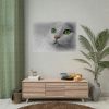 Beautiful Cat with Green Eyes Poster