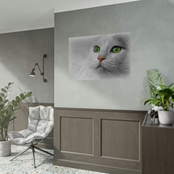 Beautiful Cat with Green Eyes Poster