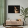 92408-335.jpg Cute Cat with Blue Eyes Poster