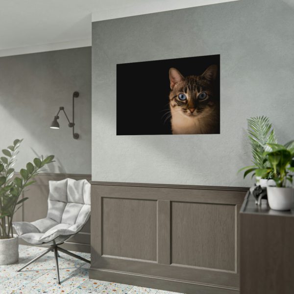 92408-336.jpg Cute Cat with Blue Eyes Poster