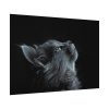 Cute Gray Cat Poster