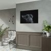 Cute Gray Cat Poster