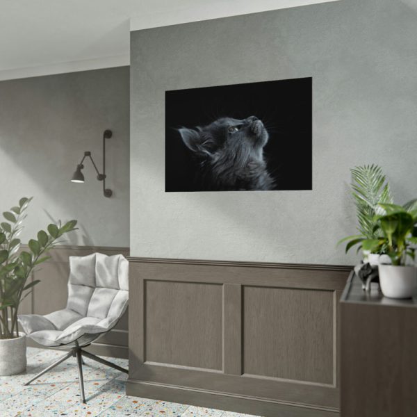 Cute Gray Cat Poster