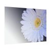 92408-349.jpg White Gerbera Poster