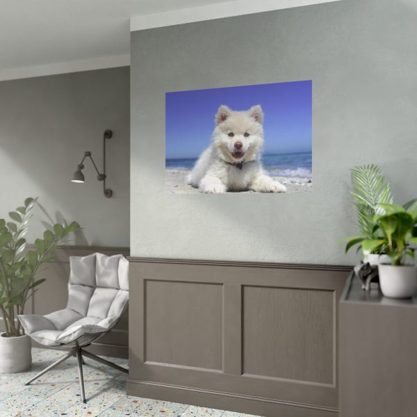 92408-35.jpg Dog on the Beach Poster