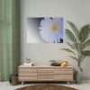 92408-350.jpg White Gerbera Poster