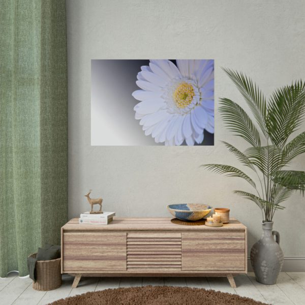 92408-350.jpg White Gerbera Poster