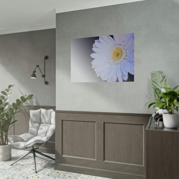 92408-351.jpg White Gerbera Poster