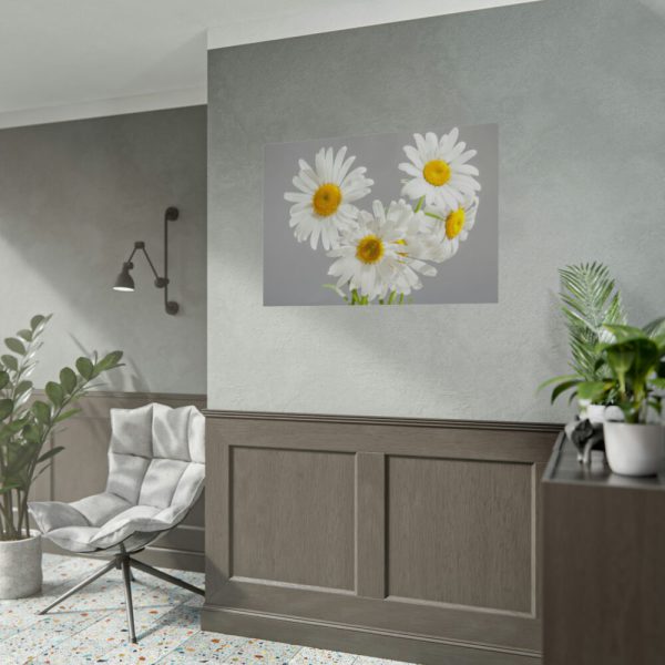 White Daisy Bloom Poster