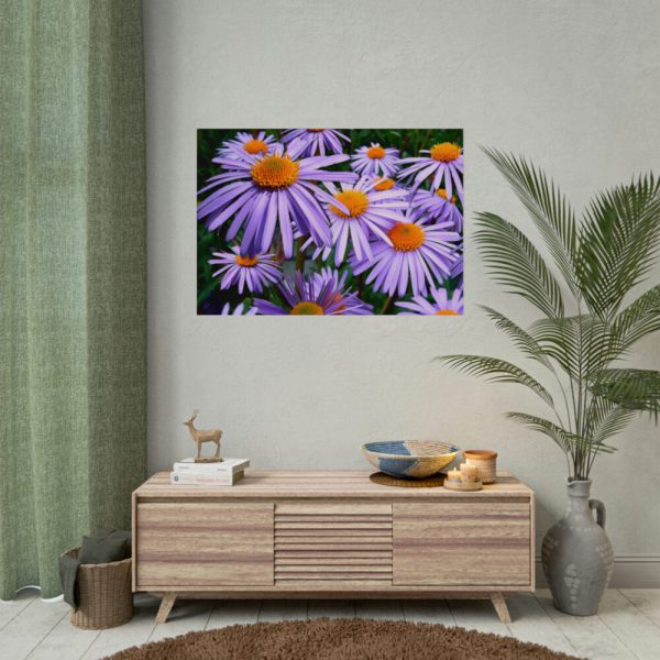 92408-360.jpg Wild Flower Poster