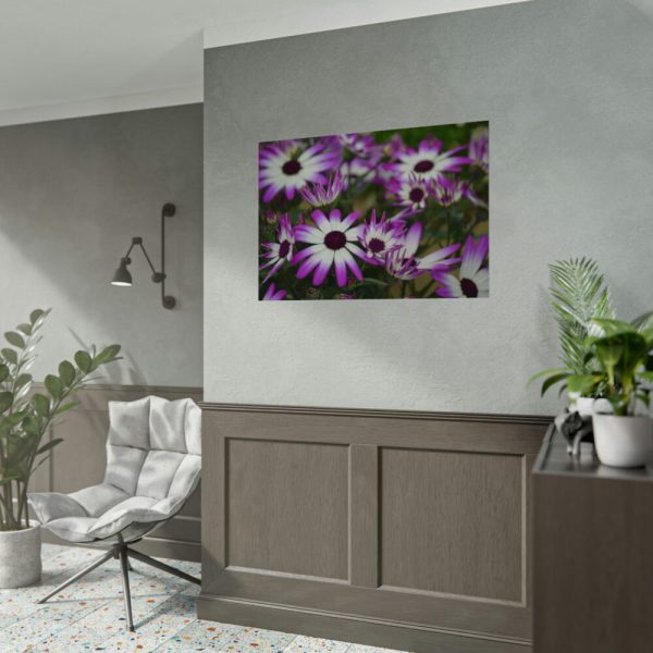 92408-366.jpg Purple Garden Cosmos Poster
