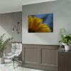 92408-371.jpg Daisy Gerbera Poster