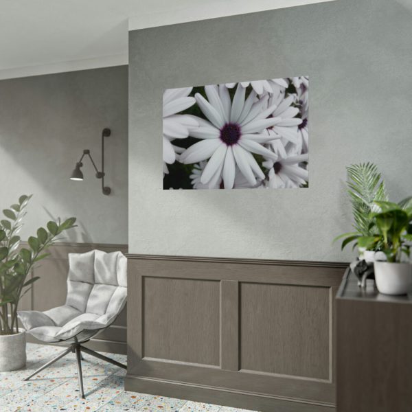 92408-376.jpg Flower Petal Poster