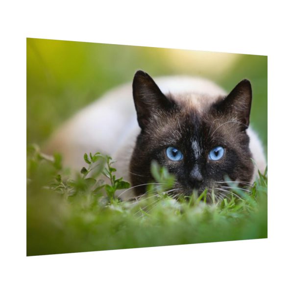 Cat Hunting Poster