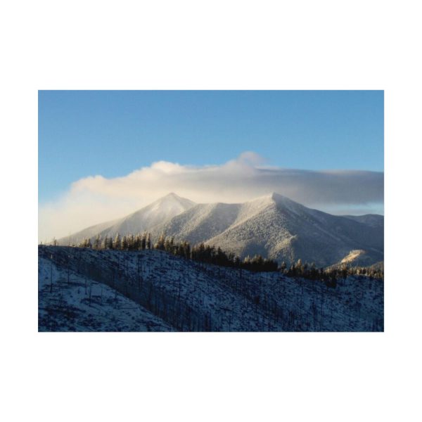 92408-382.jpg The San Francisco Peaks Poster