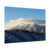 92408-384.jpg The San Francisco Peaks Poster