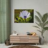 92408-390.jpg Herbaceous Plant Poster