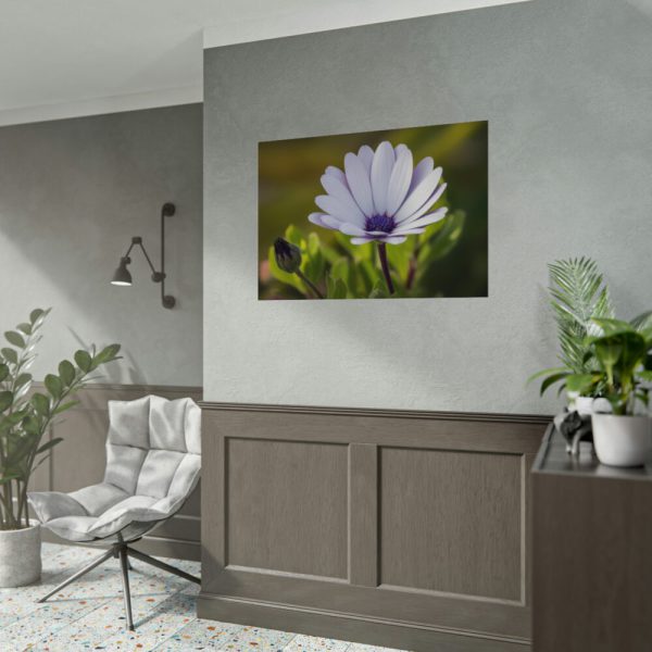 92408-391.jpg Herbaceous Plant Poster