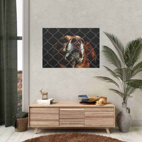 92408-4.jpg Dog Behind Wire Fence Poster