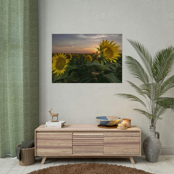 92408-425.jpg Sunflower Plant Flower Poster