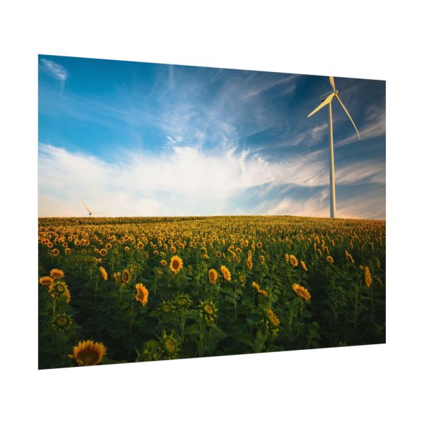 92408-464.jpg Meadow Poster