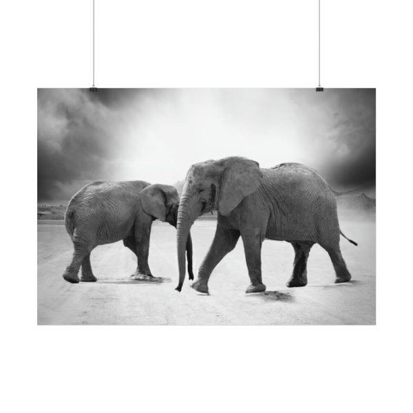 92408-478.jpg Elephant Ivory Animals Africa Poster