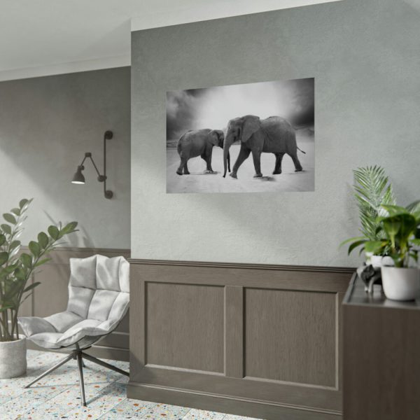 92408-481.jpg Elephant Ivory Animals Africa Poster