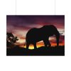 Elephant and Sunset in Africa Poster