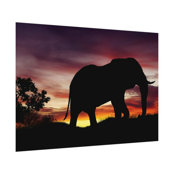 Elephant and Sunset in Africa Poster
