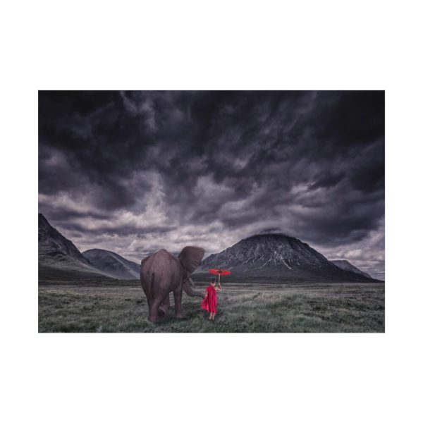 92408-532.jpg Elephant and Child Friendship Poster
